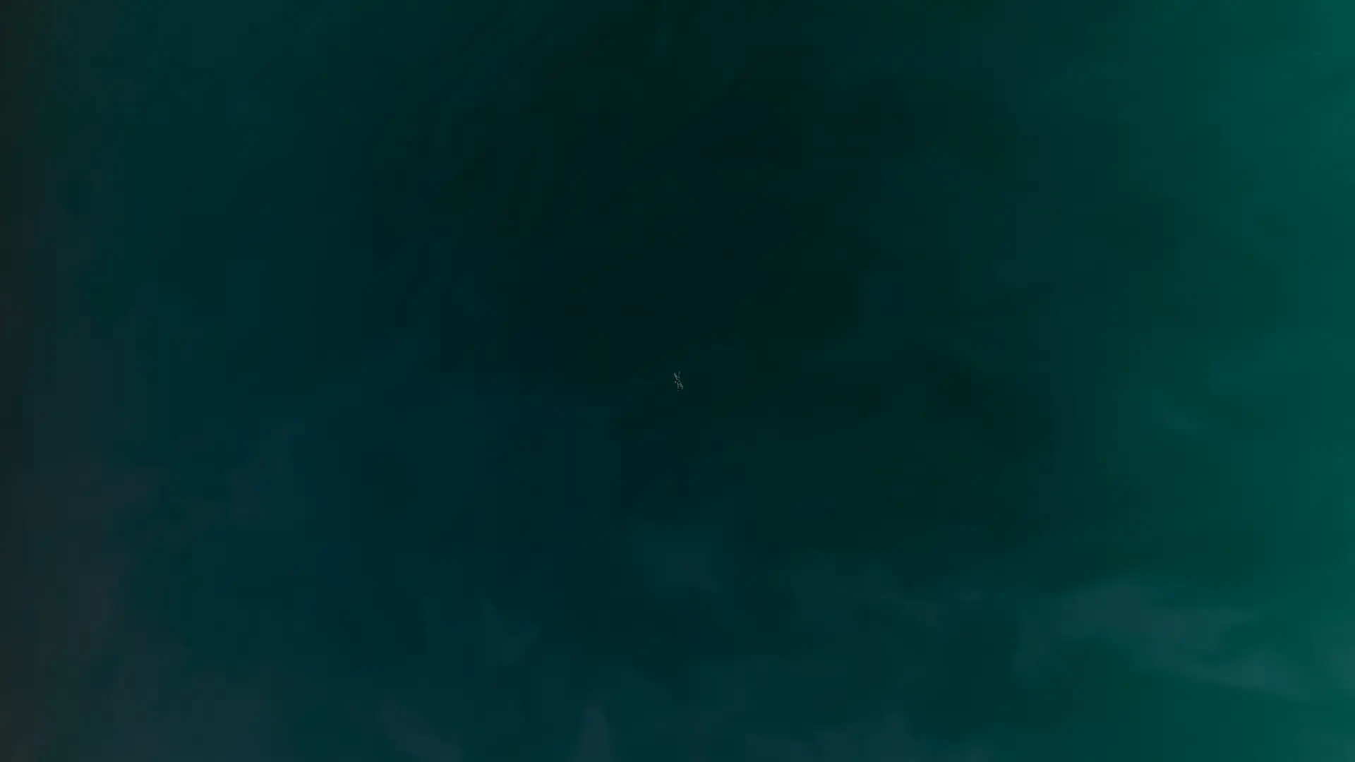 Gallery image from 2026